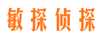 镇巴调查事务所